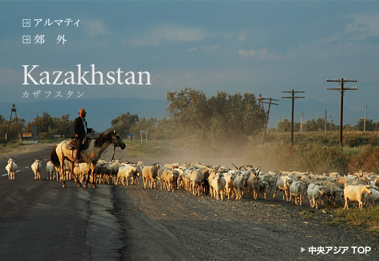 カザフスタン・放牧