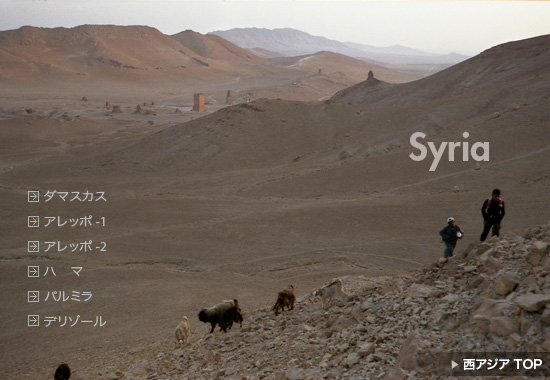 シリアの遊牧民