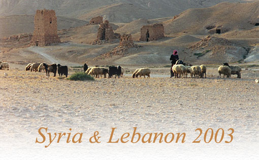 �p���~�����