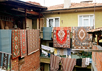 �O�~�������Ă��閯��